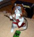 cat_guitarist.jpg