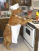cooking_dog.jpg